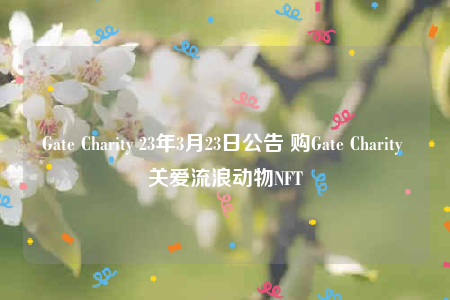 Gate Charity 23年3月23日公告 购Gate Charity 关爱流浪动物NFT-第1张图片-芝麻交易所下载 Gate Charity 23年3月23日公告 购Gate Charity 关爱流浪动物NFT-第1张图片-芝麻交易所下载
